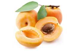 Apricot Dehydration