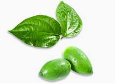 Areca (Betel Nut) Dehydration