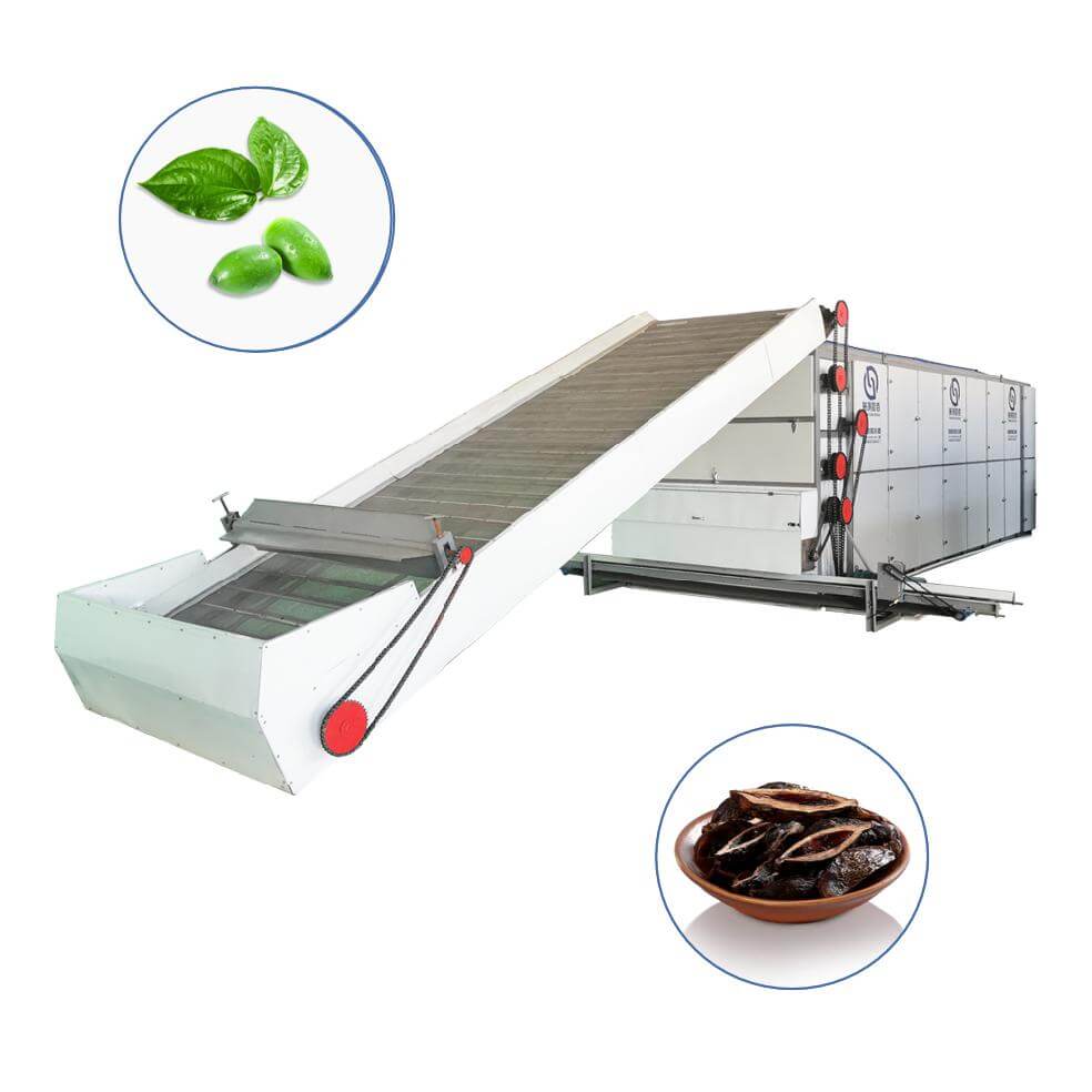 Betel nut Multi-layer Mesh Belt Dryer