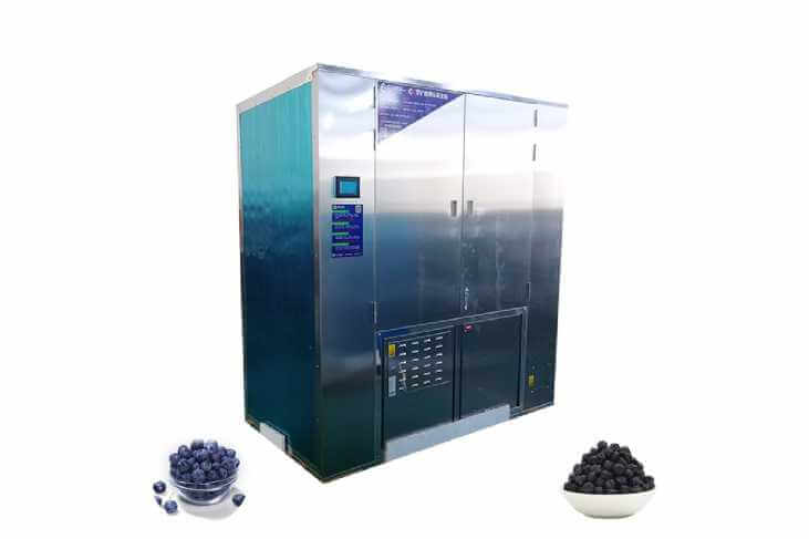 Blueberry Dehydrator