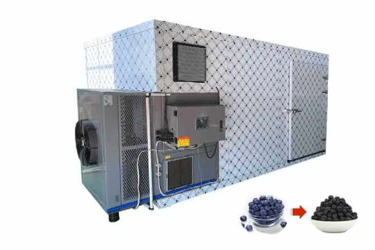 Blueberry Drying Machine