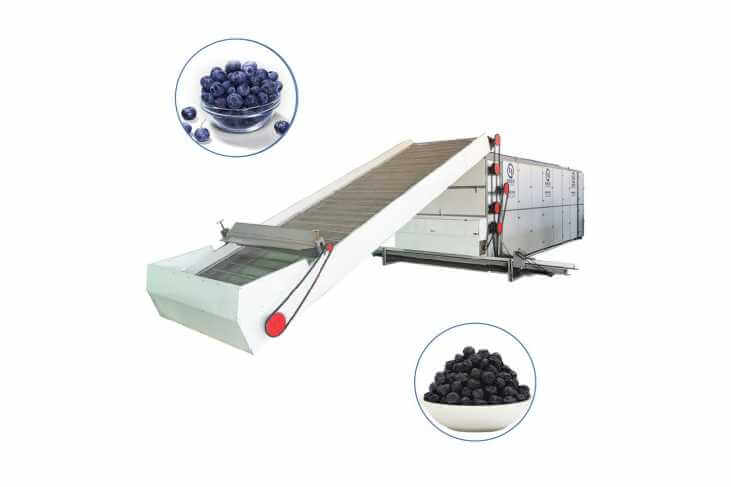 Blueberry  Dryer