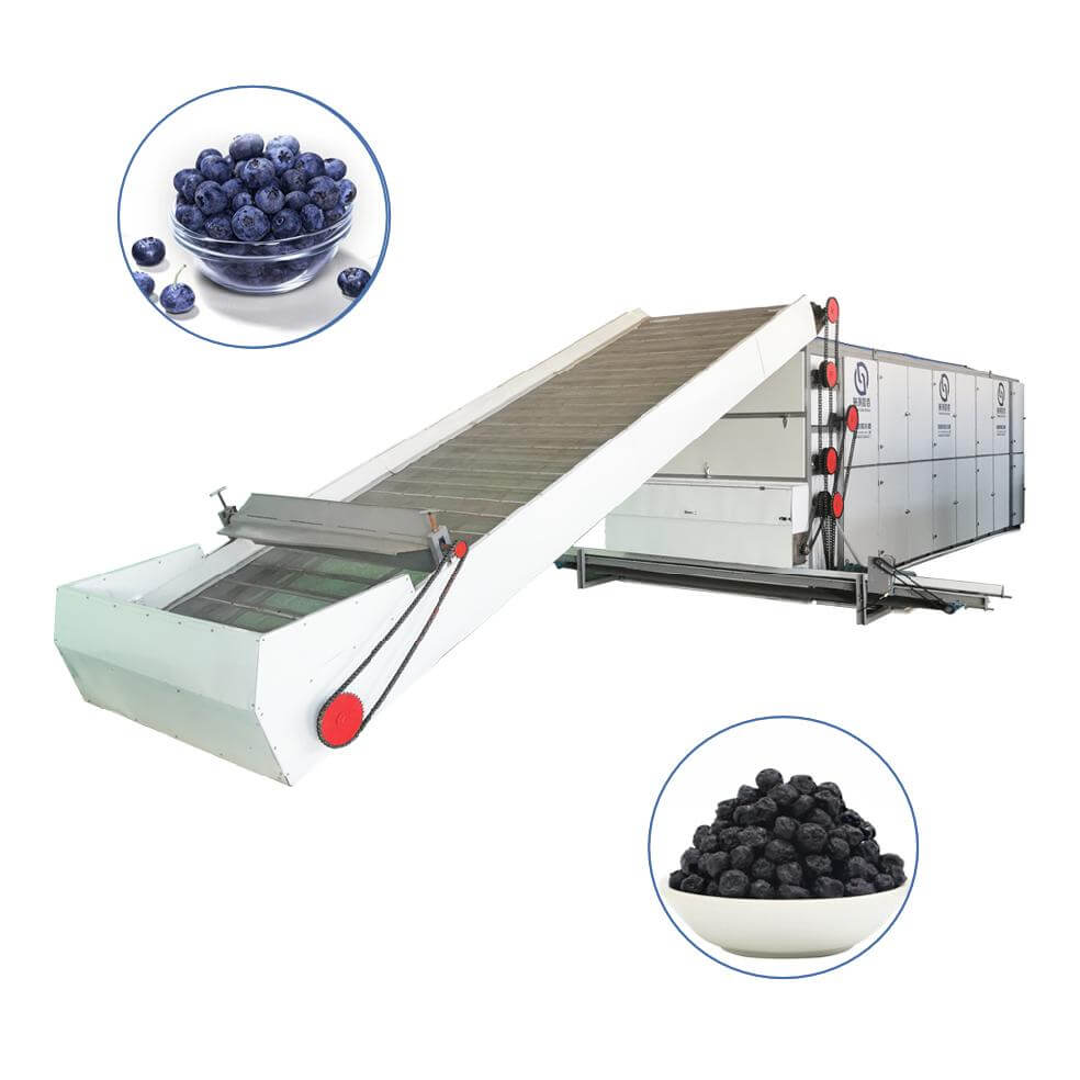 Blueberry Multi-layer Mesh Belt Dryer