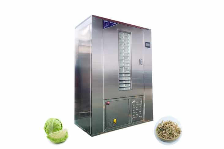 Cabbage Dehydrator