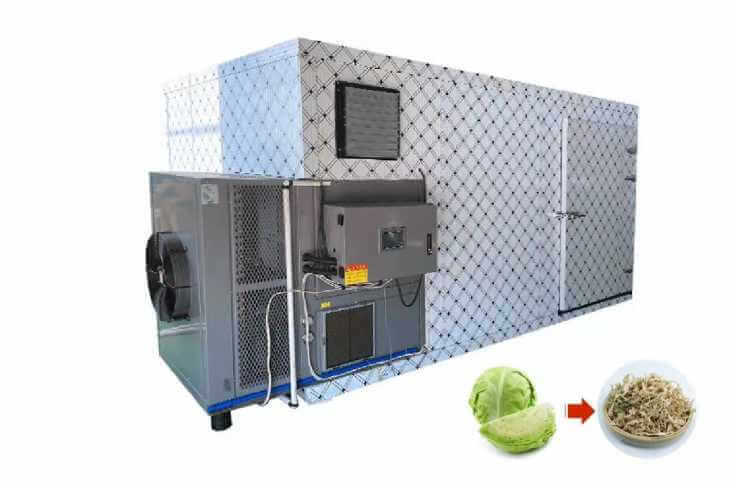 Cabbage Drying Machine
