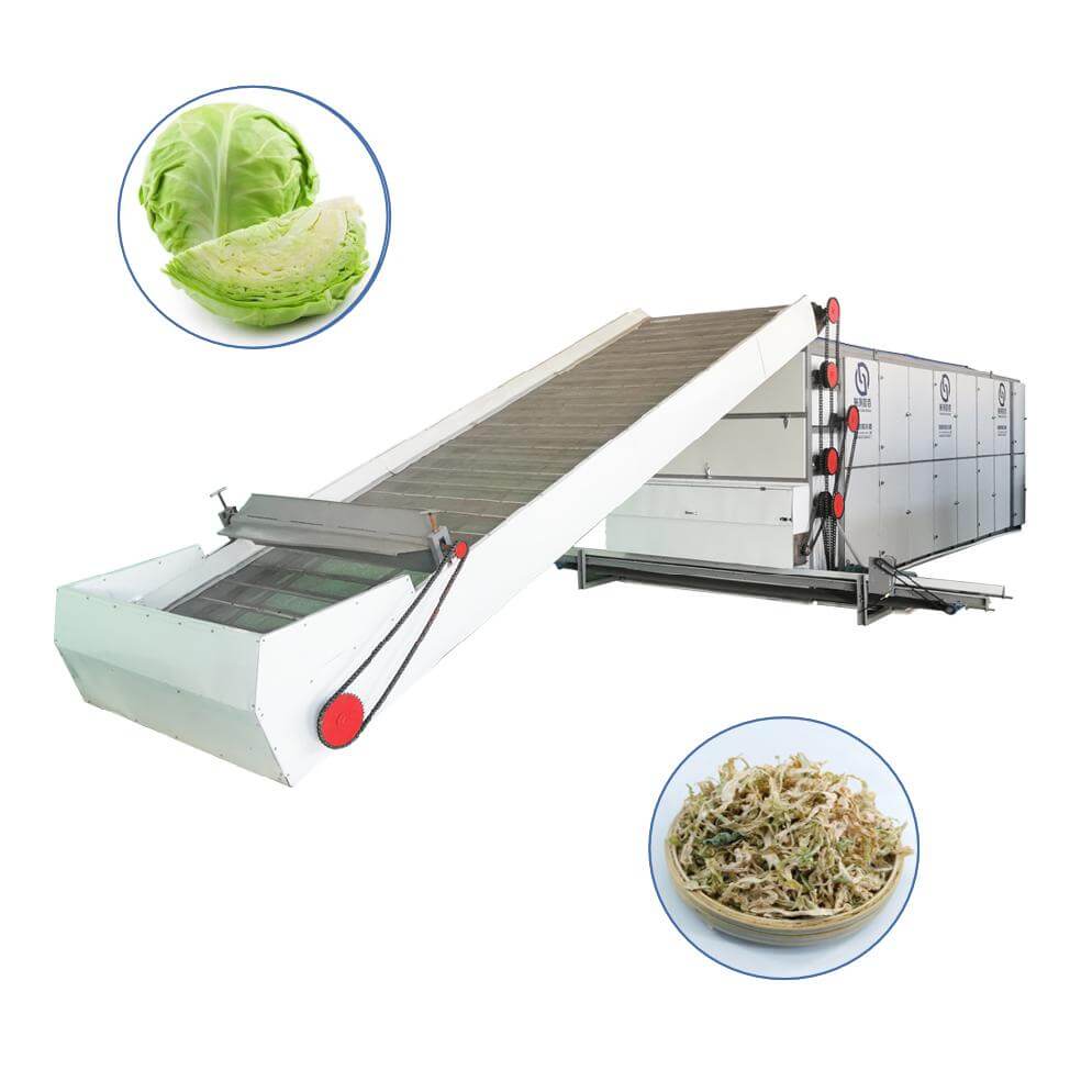 Cabbage Multi-layer Mesh Belt Dryer