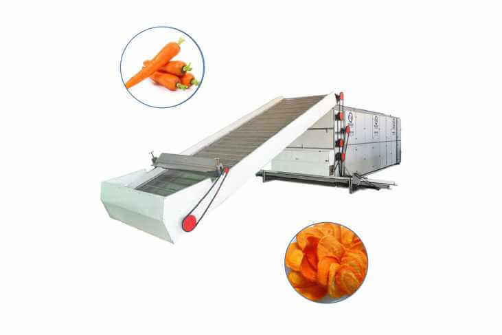 Carrot Dryer