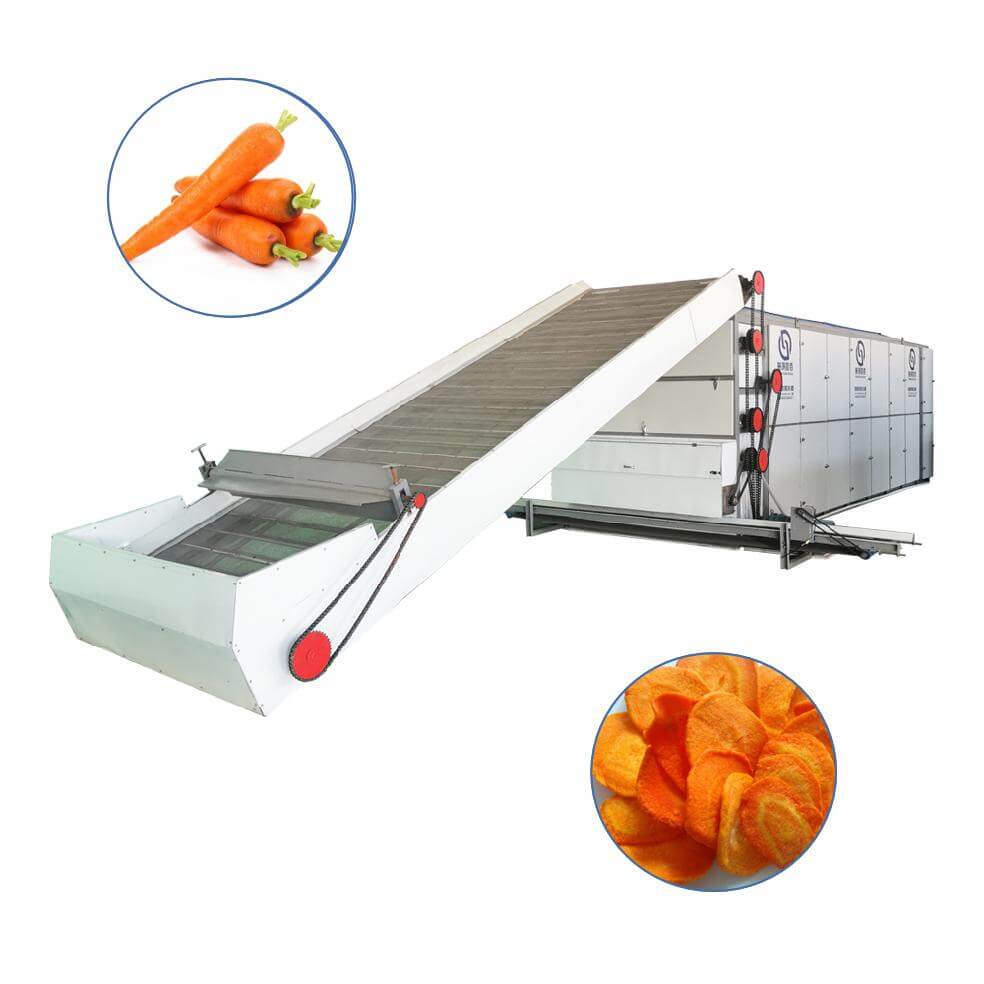 Carrot Multi-layer Mesh Belt Dryer