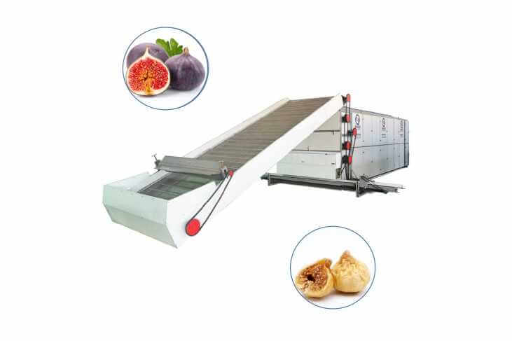 Fig Dryer