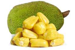 Jackfruit Dehydration