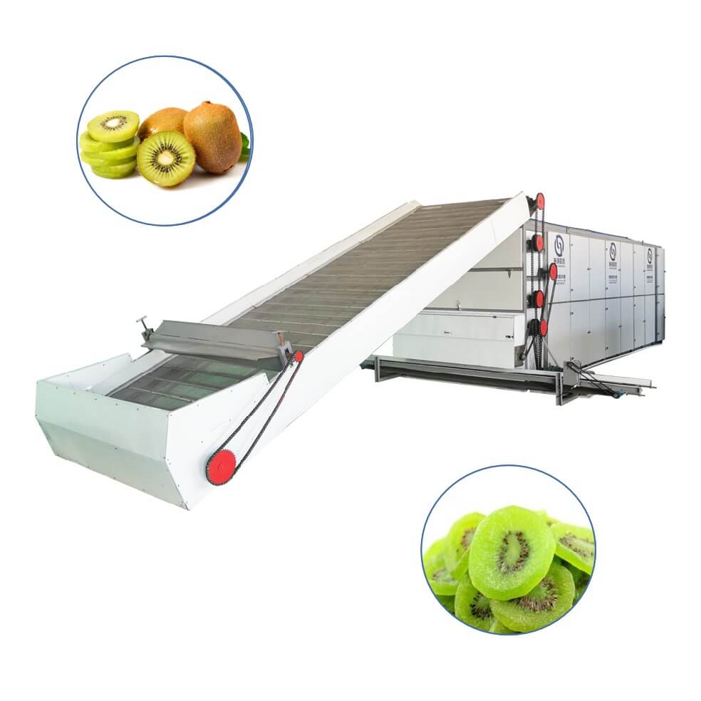 Kiwi Multi-layer Mesh Belt Dryer