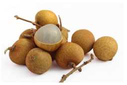 Longan Dehydration