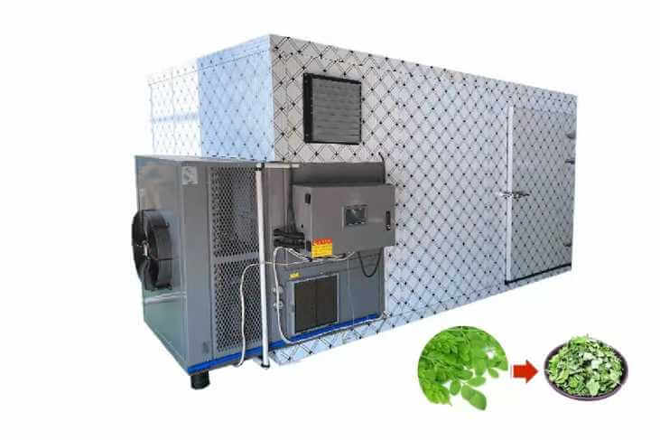 Moringa Drying Machine