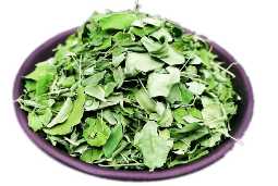 Moringa Leaves Dehydration