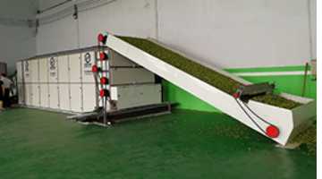 Leaf Mesh Belt Dryer