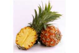 Pineapple Dehydration