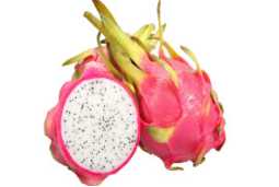 Pitaya Dehydration