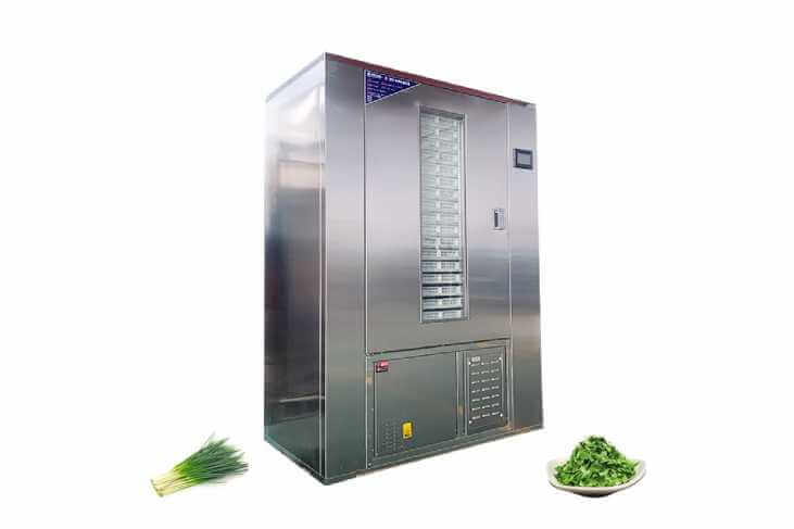 Scallion Dehydrator