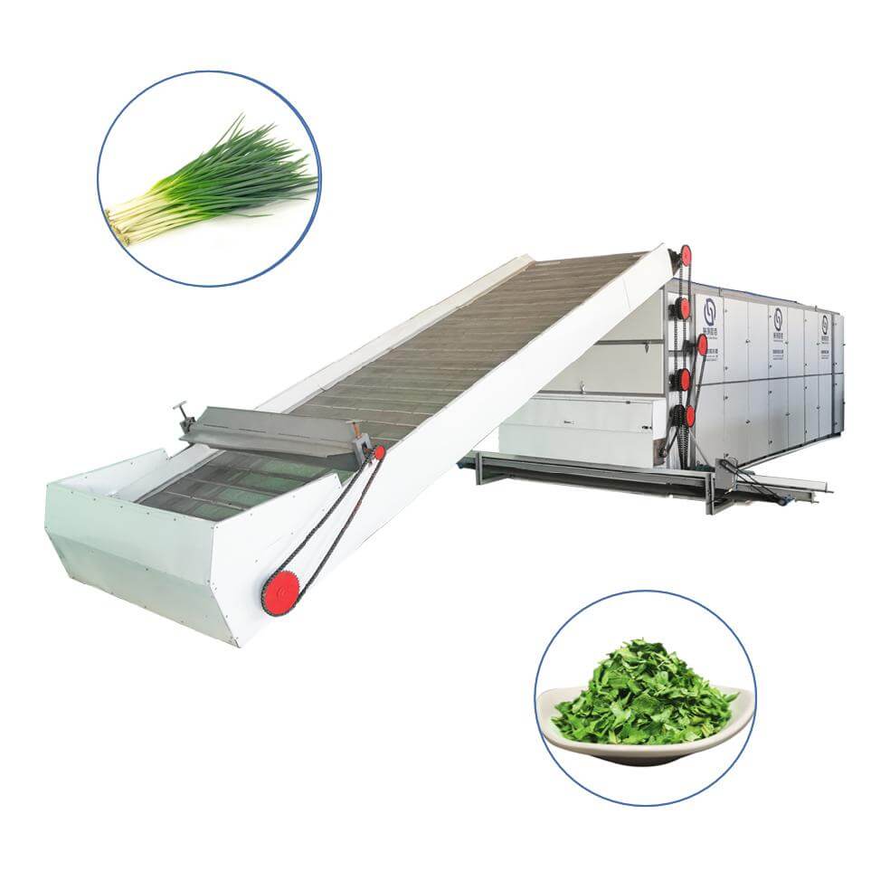 Scallion Multi-layer Mesh Belt Dryer