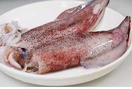 Squid Dehydration