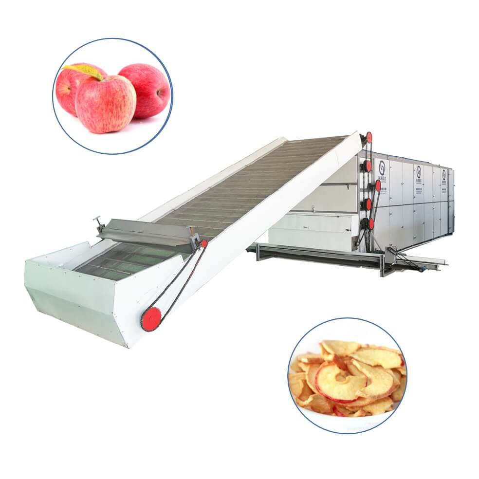 apple Multi-layer Mesh Belt Dryer