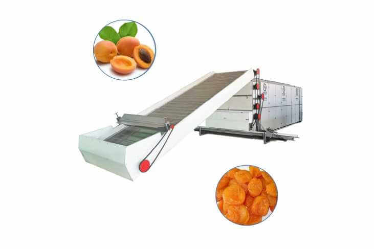 Apricot Dryer