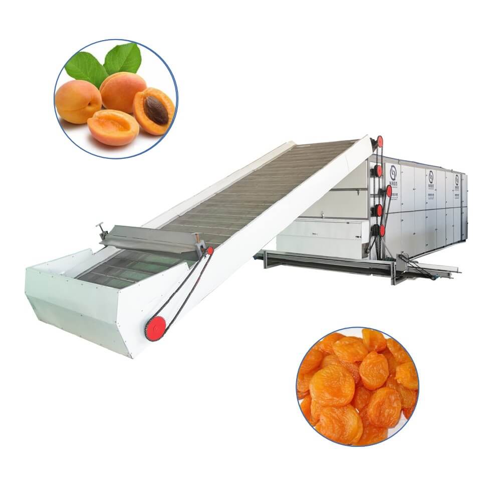 apricot Multi-layer Mesh Belt Dryer