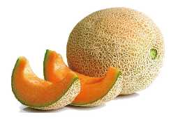 Cantaloupe Dehydration