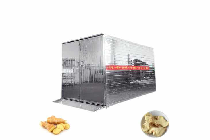 Ginger Dehydrator