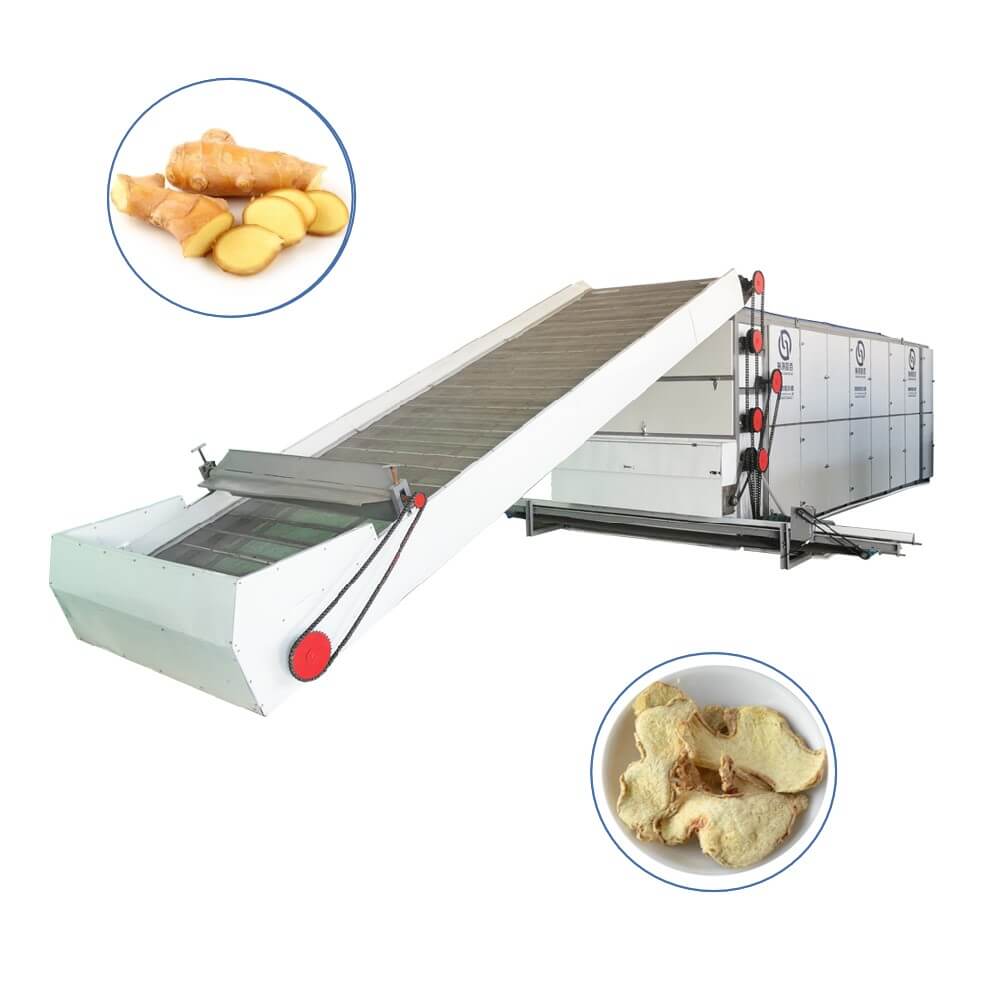 ginger Multi-layer Mesh Belt Dryer