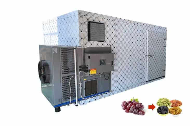 Grape Drying Machine