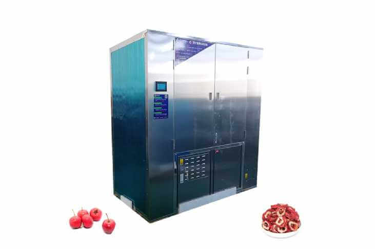 Fruit Drying Machine - Baixin