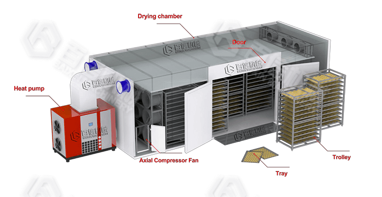 Industrial Heat Pump Fruit Drying Machine - Industrial Food Drying