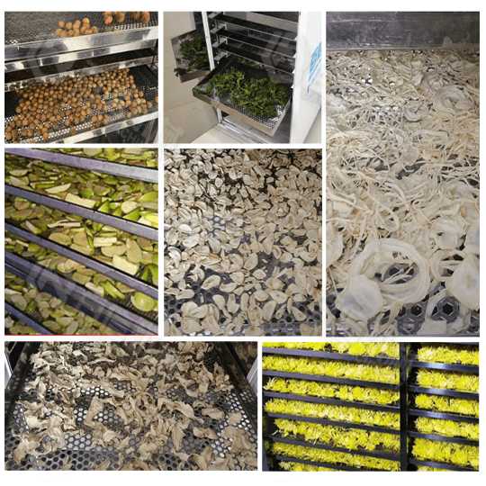 heat pump drying oven 4