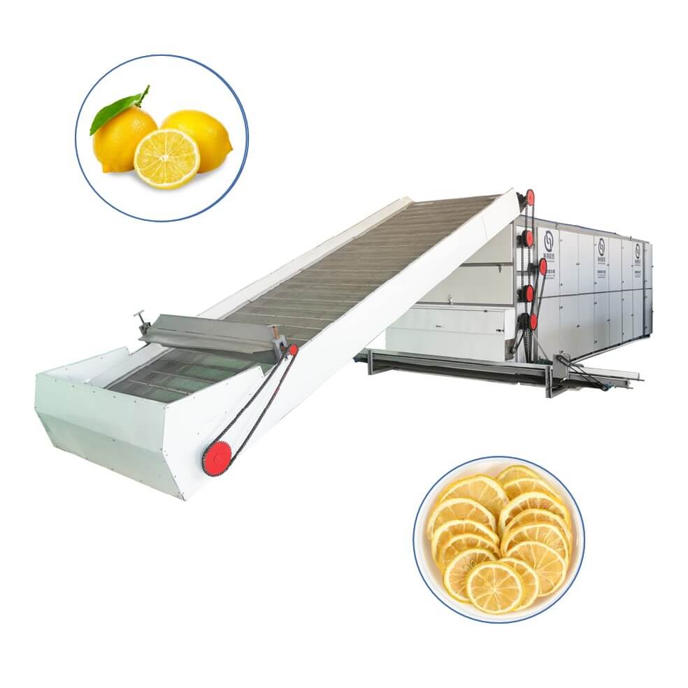 lemon Multi-layer Mesh Belt Dryer