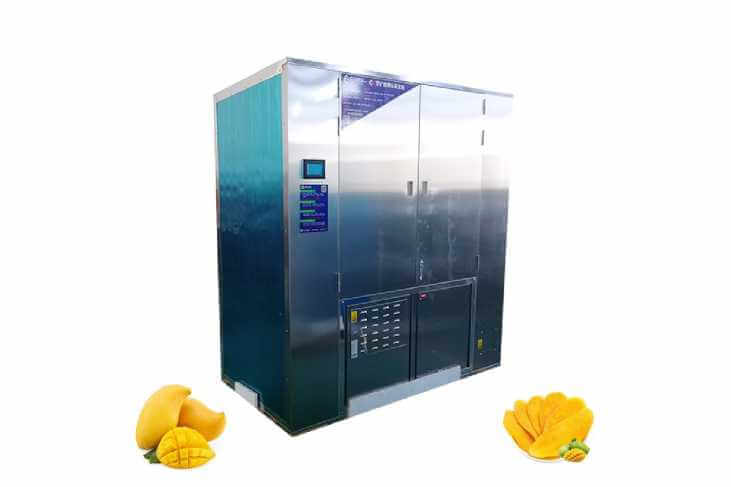 Mango Dehydrator