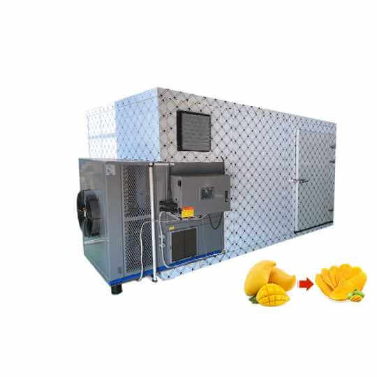 mango Drying Oven