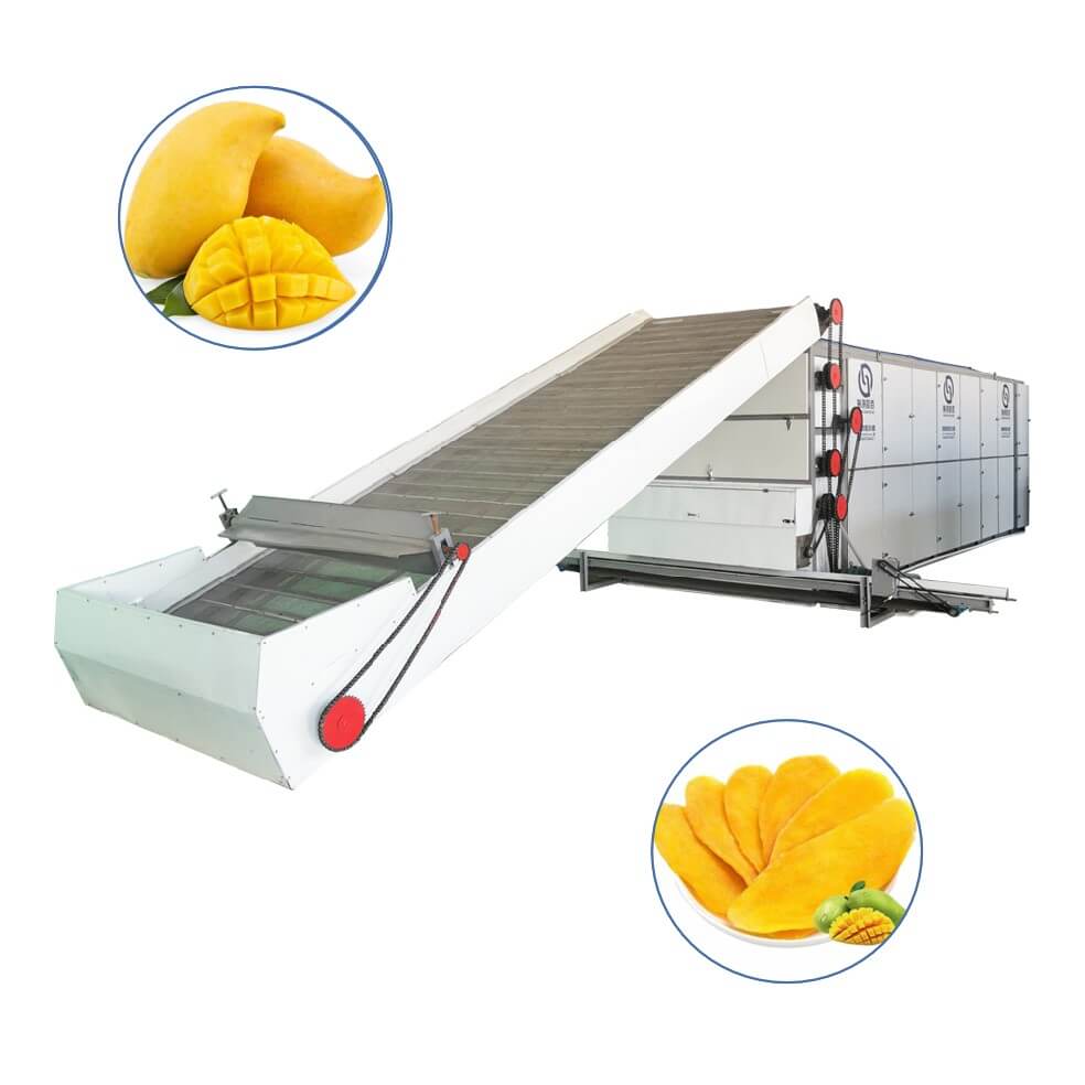 mango Multi-layer Mesh Belt Dryer