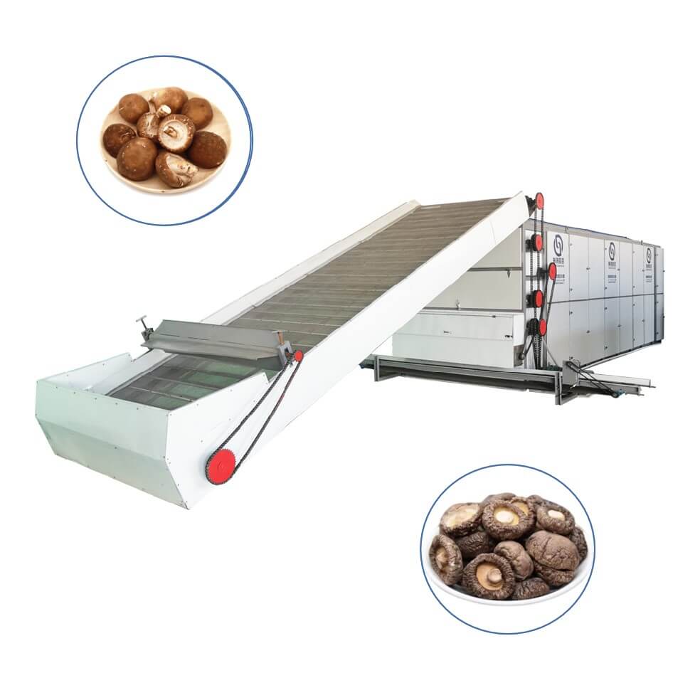 mushroom Multi-layer Mesh Belt Dryer