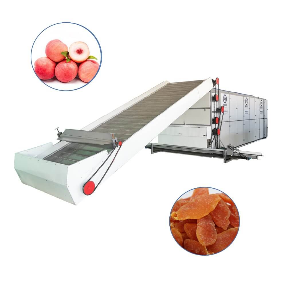 peach Multi-layer Mesh Belt Dryer