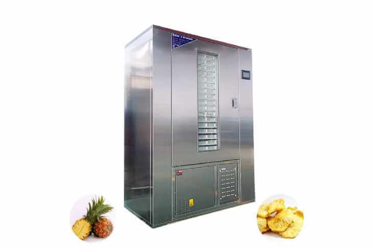 Pineapple Dehydrator