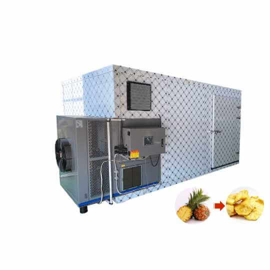 pineapple Drying Oven