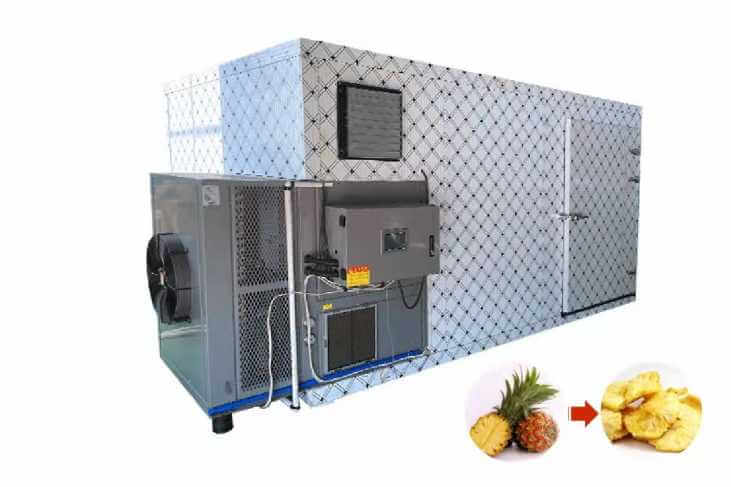 Pineapple Drying Machine