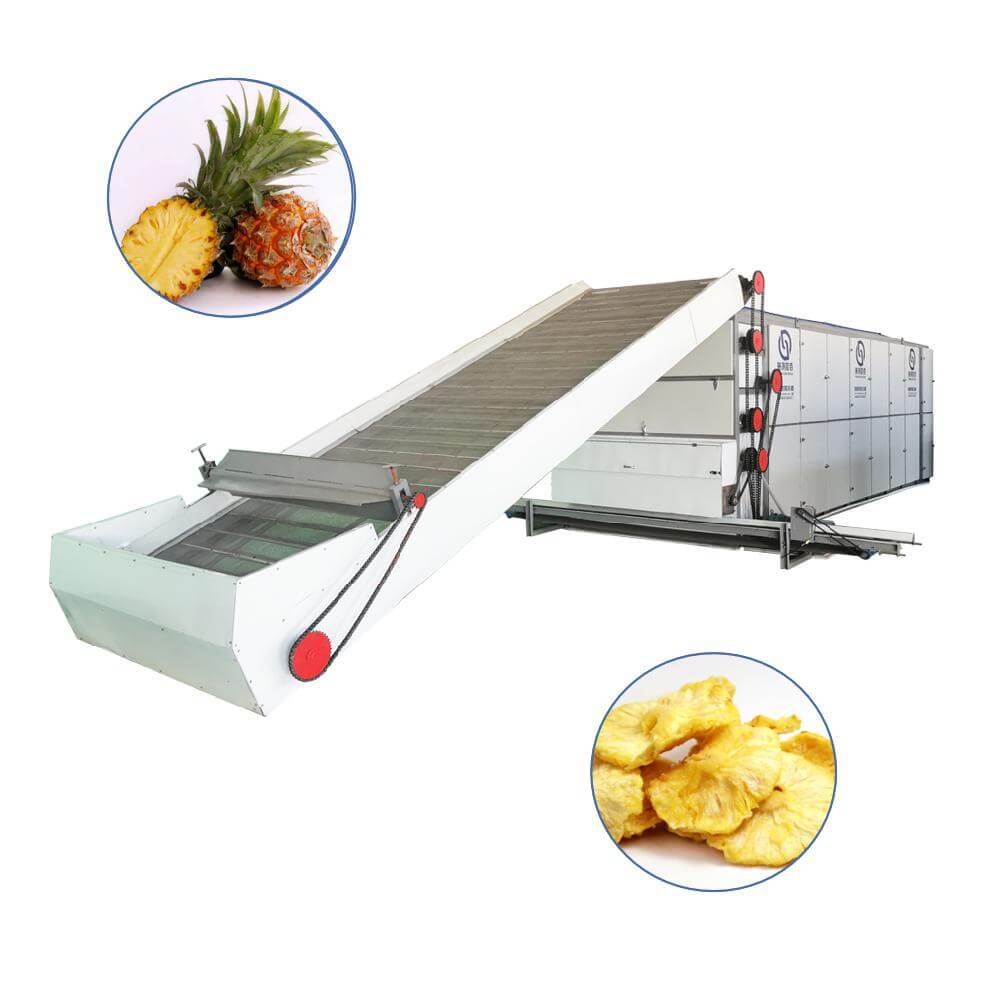 pineapple Multi-layer Mesh Belt Dryer