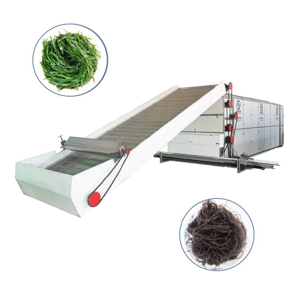 seaweed Multi-layer Mesh Belt Dryer