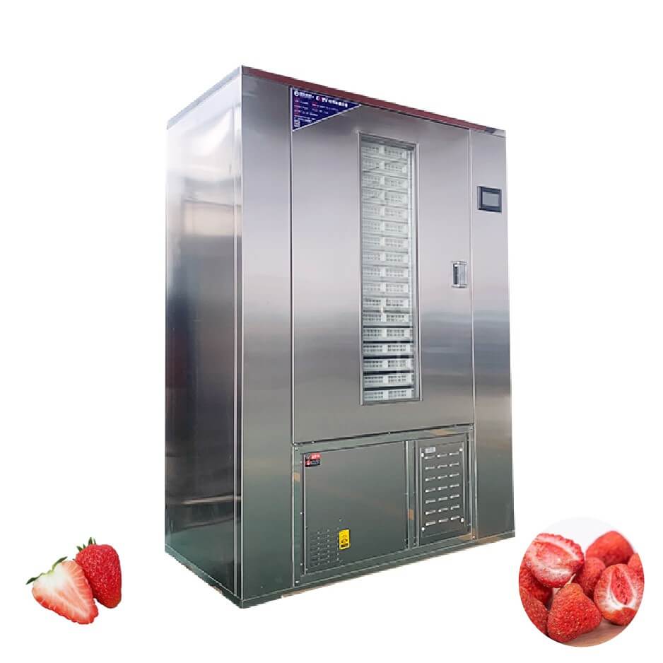 strawberry Dehydrator
