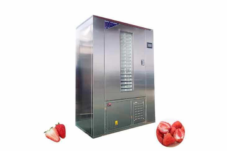 Strawberry Dehydrator