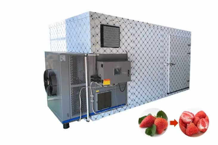 Strawberry Drying Machine