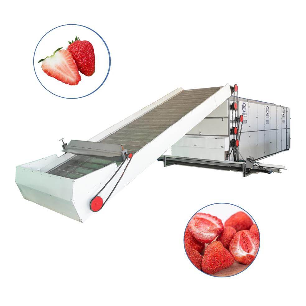 strawberry Multi-layer Mesh Belt Dryer