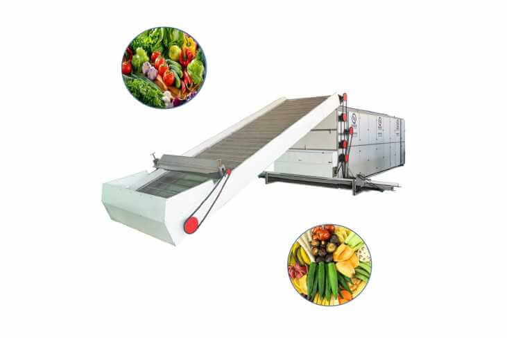 Continuous Mesh Belt Vegetable Dehydrator and Dryer